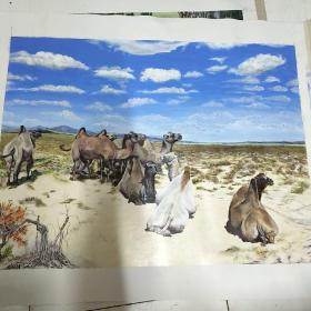 油画骆驼