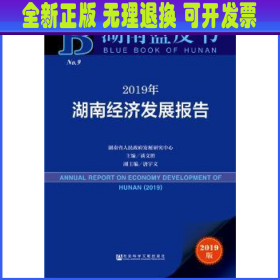 2019年湖南经济发展报告