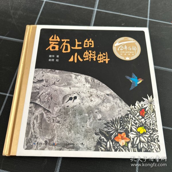 百年百部图画书系：岩石上的小蝌蚪版画和水墨画的结合