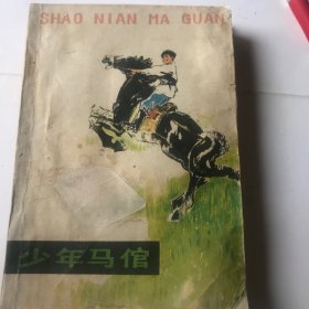少年马倌
