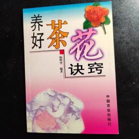 养好茶花决窍