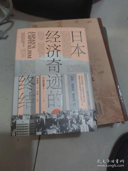 日本经济奇迹的终结(日本经济类经典著作,复盘日本经济发展路径,思索中国经济发展走向)