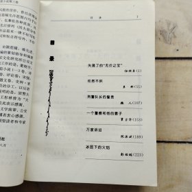 当代中国公安文学大戏 无铃的马帮 中篇小说第一卷