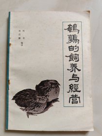 鹌鹑的饲养与经营