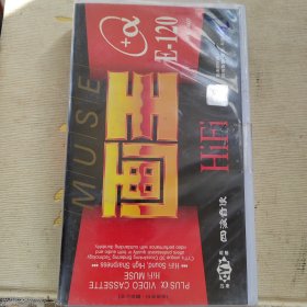 空白录像带：画王E一120（未折封）