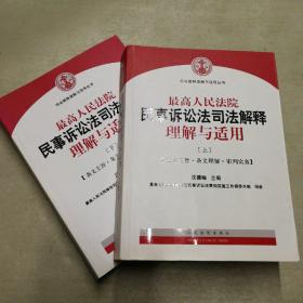 最高人民法院民事诉讼法司法解释理解与适用