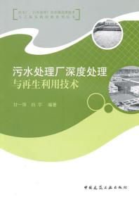 净水厂、污水处理厂非常规处理技术与工程实例详解系列丛书   污水处理厂深度处理与再