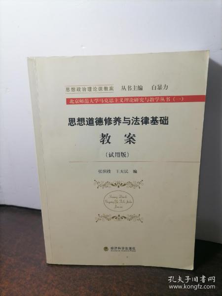 思想道德修养与法律基础教案(北京师范大学马克思主义理论研究与教学丛书)(一)