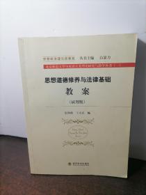 思想道德修养与法律基础教案(北京师范大学马克思主义理论研究与教学丛书)(一)