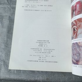 猪病防治（第3版）/高等职业教育农业农村部“十三五”规划教材