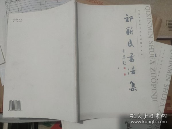祁新民书法集
