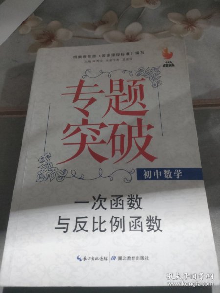 九头鸟专题突破·初中数学：一次函数与反比例函数