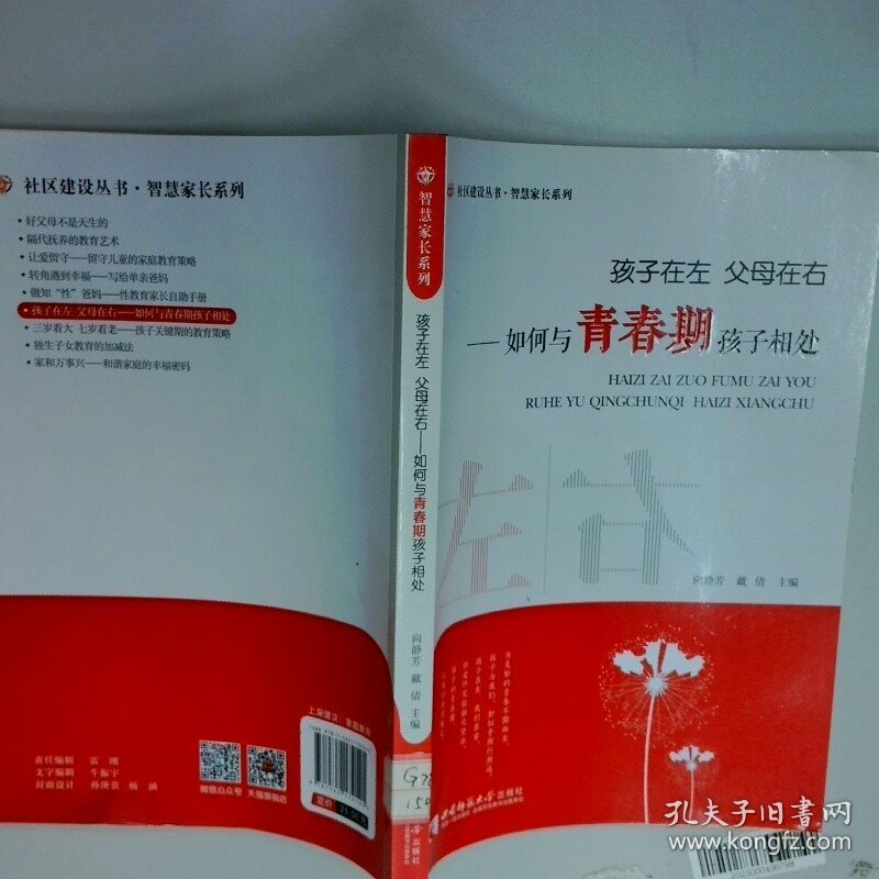 孩子在左父母在右 如何与青春期孩子相处  向静芳 戴倩  编 西南师范大学出版社