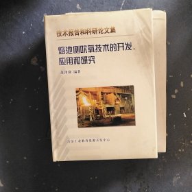 熔池侧吹氧技术的开发、应用和研究