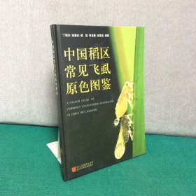 中国稻区常见飞虱原色图鉴