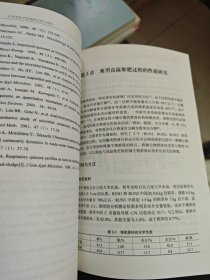 生物质废弃物堆肥过程与调控