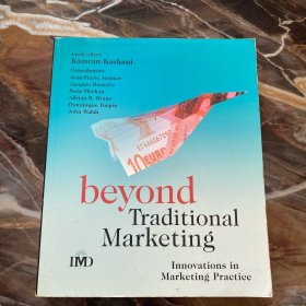 BeyondTraditionalMarketing:InnovationsinMarketingPractice(IMDExecutiveDevelopmentSeries)