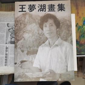 王梦湖画集   签名盖章  送恩师白雪石