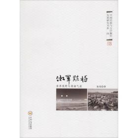 湘军点将 世界视野与湖湘气派 中国现当代文学理论 聂茂 新华正版