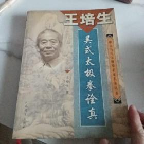 吴式太极拳诠真