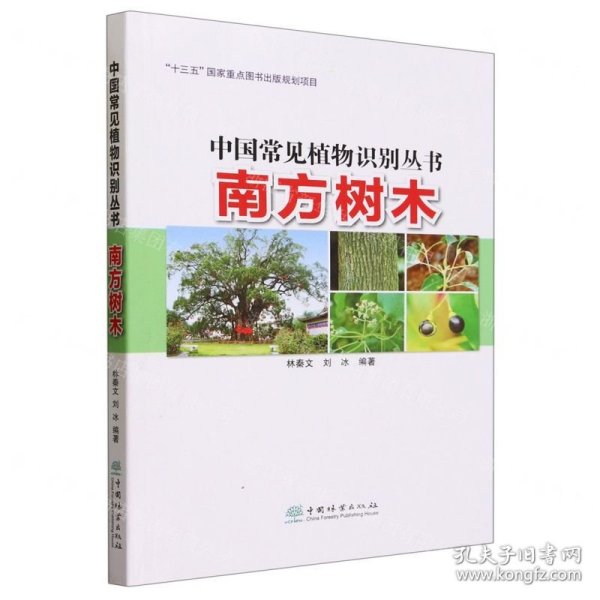 保正版！南方树木/中国常见植物识别丛书9787521919684中国林业出版社林秦文,刘冰