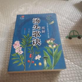 医学经典传统良方养生保健方法图解汤头歌诀单册 九品无字迹无划线