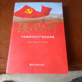 强核先锋：中核集团百名共产党员故事集
