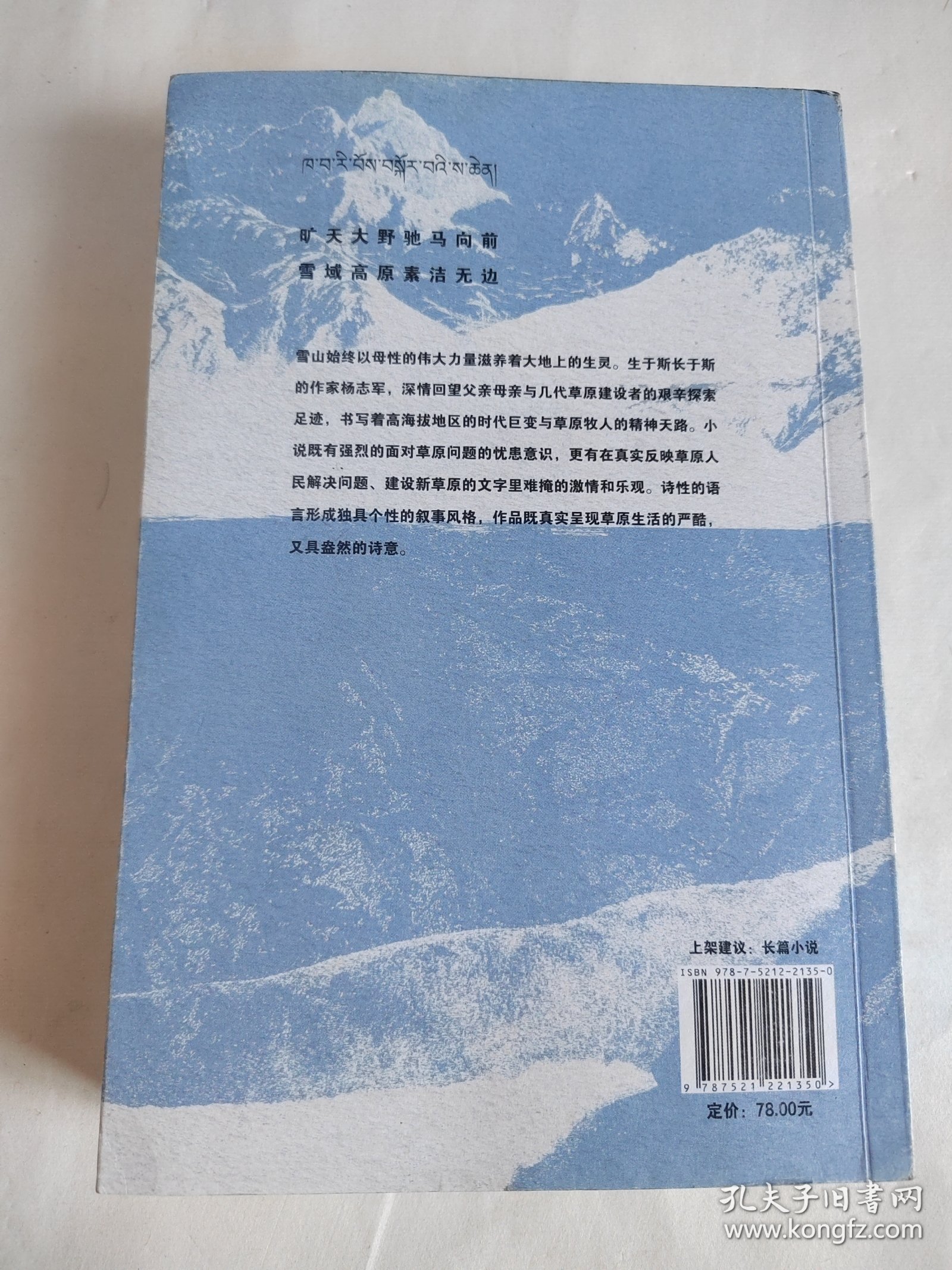 雪山大地 （《藏獒》作家杨志军长篇新作，深情回望父亲母亲与几代草原建设者的艰辛探索足迹，山乡巨变作品。）
