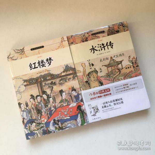 水浒传/小书虫读经典