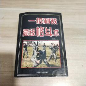 一招制敌高级格斗术【内页干净】