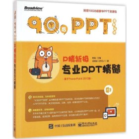 二手 P精斩极:专业PPT精髓 陈魁 电子工业出版社 9787121283543