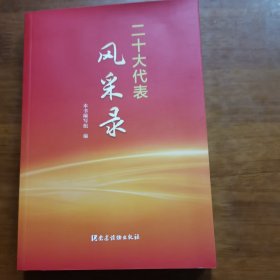 二十大代表风采录（放阁楼位）