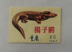 重庆火柴厂扬子鳄