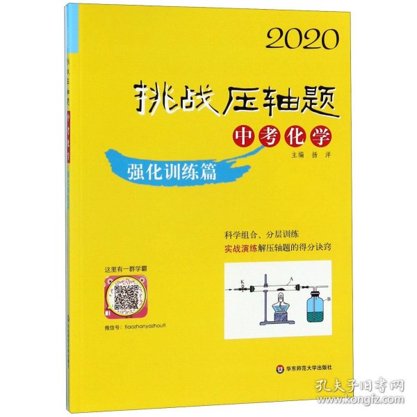 2020挑战压轴题·中考化学—强化训练篇