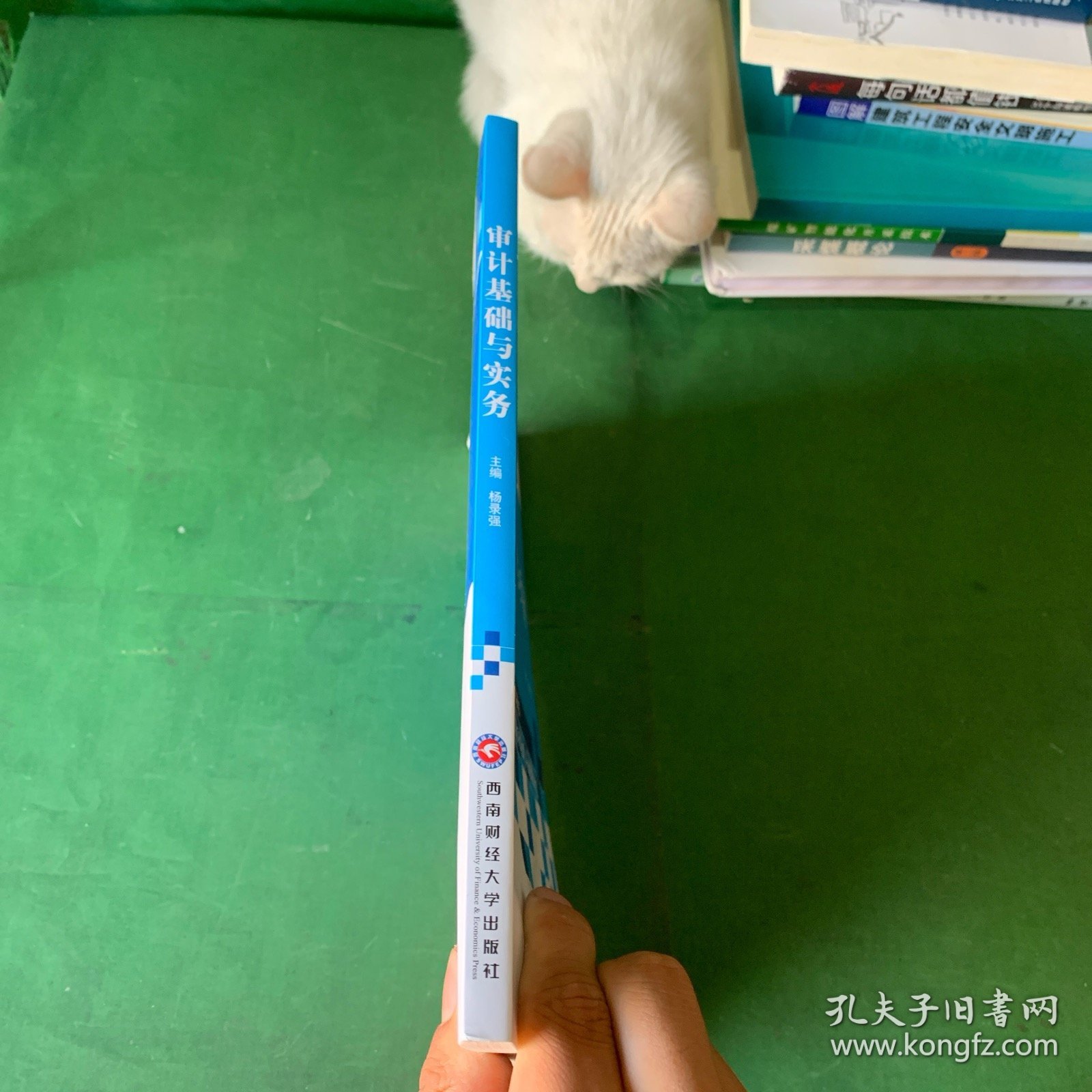 审计基础与实务【内页全新未阅读】【封底有褶皱】