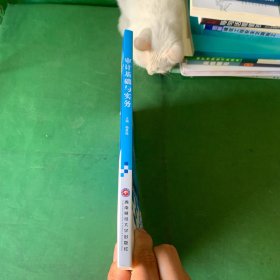 审计基础与实务【内页全新未阅读】【封底有褶皱】