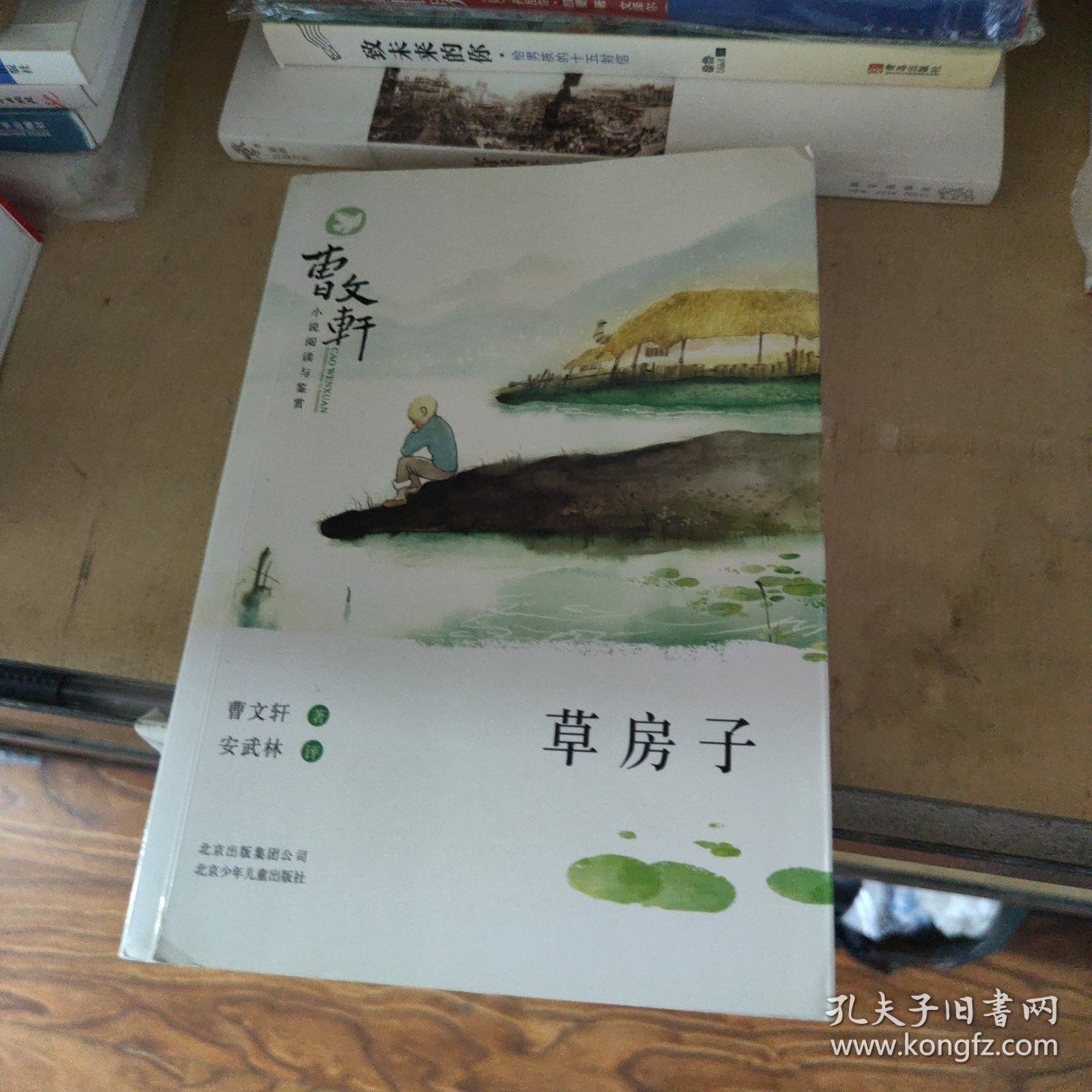 曹文轩小说阅读与鉴赏：草房子