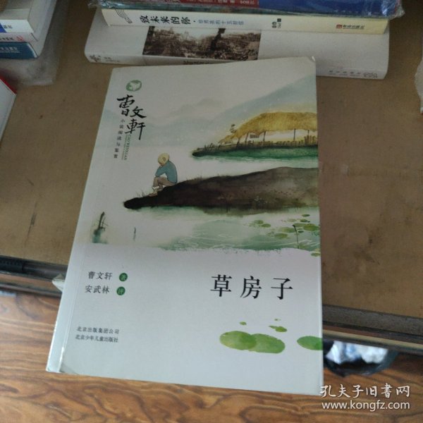 曹文轩小说阅读与鉴赏：草房子
