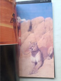 人体艺术与艺术人体