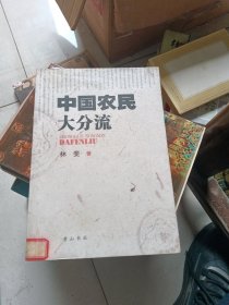 中国农民大分流