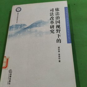 依法治国视野下的司法改革研究