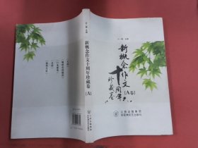 新概念作文十周年珍藏