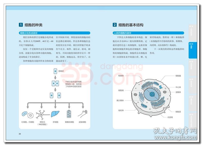 漫画基础医学：读懂解剖生理学 9787518428281