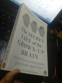 The Secret Life of the Grown-Up Brain