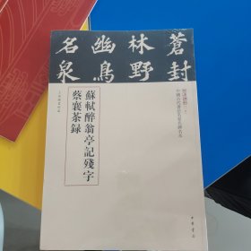苏轼醉翁亭记残字，蔡襄茶録