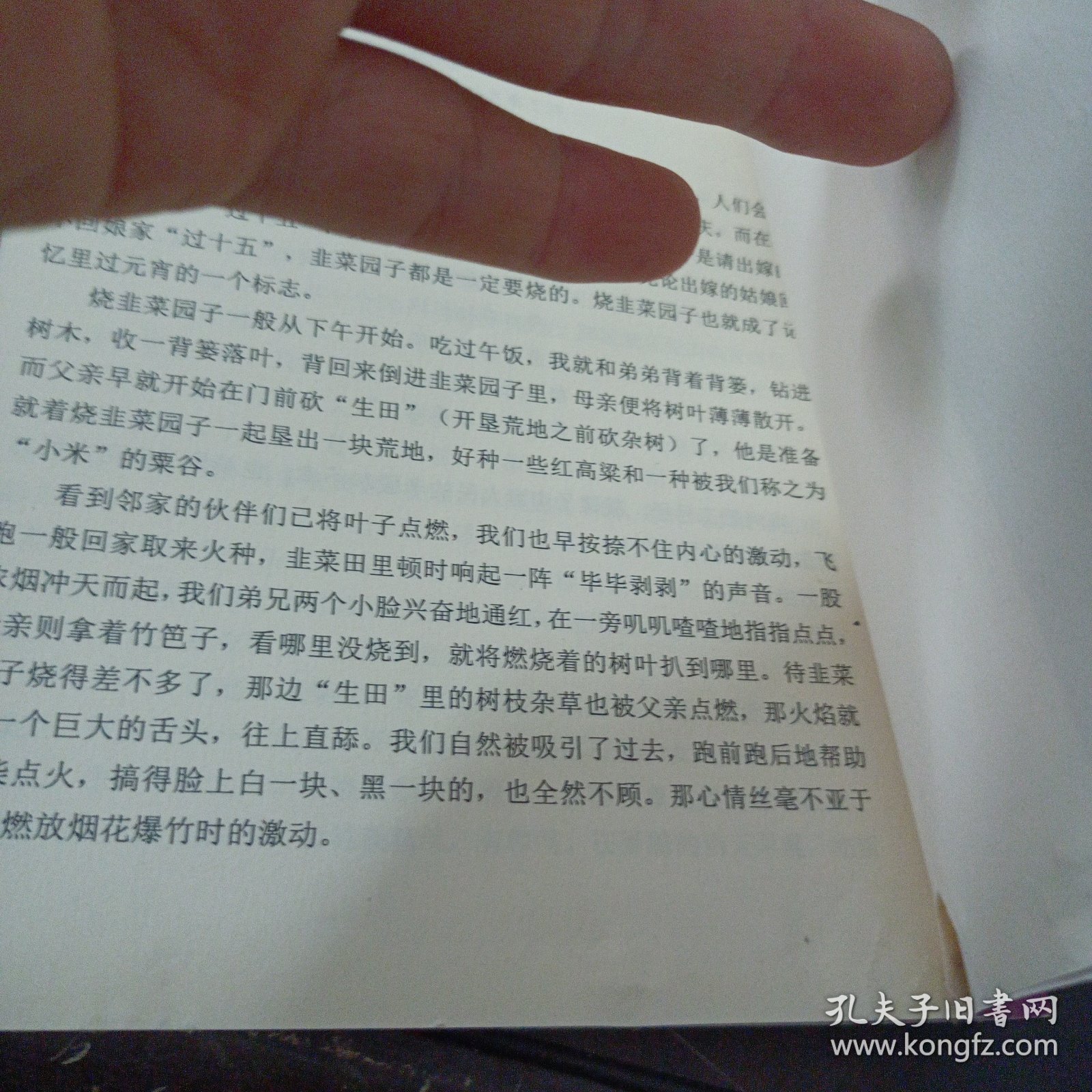 民俗保康（下书口轻微破损）——y1