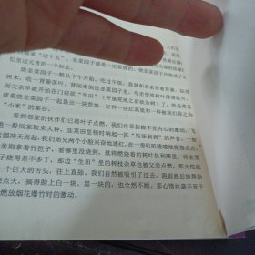 民俗保康（下书口轻微破损）——y1