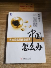 中国怎么办：当次货危机改变世界