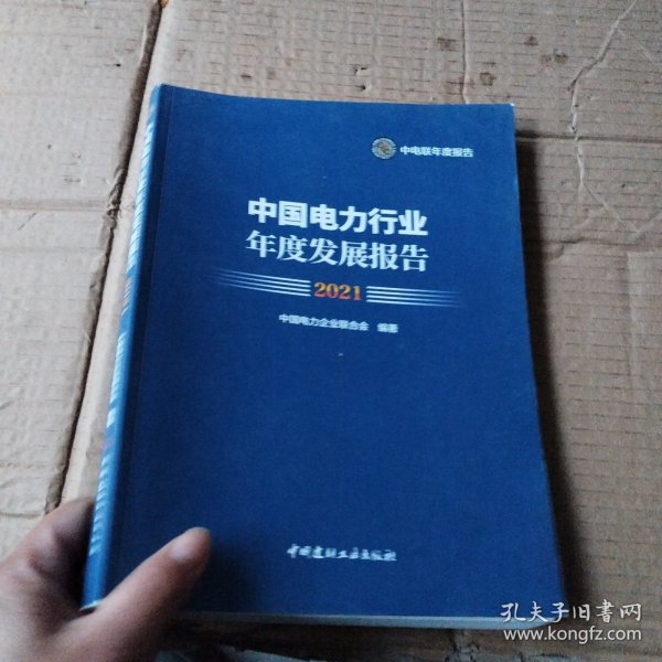 中国电力行业年度发展报告2021