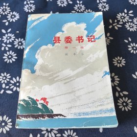 县委书记第一部
